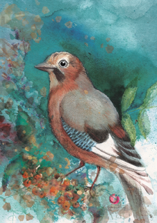 Hélène HARMEGNIES, Illustratrice