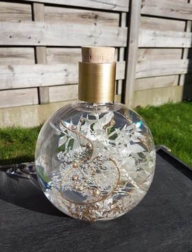 Élisabeth PICHON Les Lumineuses de Bettina